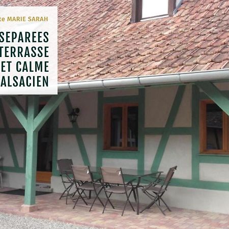 Gite Chez Marie-Sarah Petite Maison Calme Parking Ebersheim Екстер'єр фото